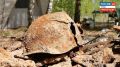 �� ����� ���� ���������� ������� �������, �������� � ���� ������� ������������� �����