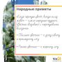 В Туле зацвела черемуха: чем опасны ароматные цветы и когда ждать похолодания