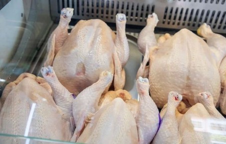 � ������ ���� ���� �� ������ ��������� �� 15%