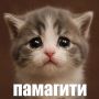 Дорогие подписчики, а давайте знакомиться!