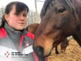 Дмитрий Миляев: Кто станет лучшим ветеринарным фельдшером региона?