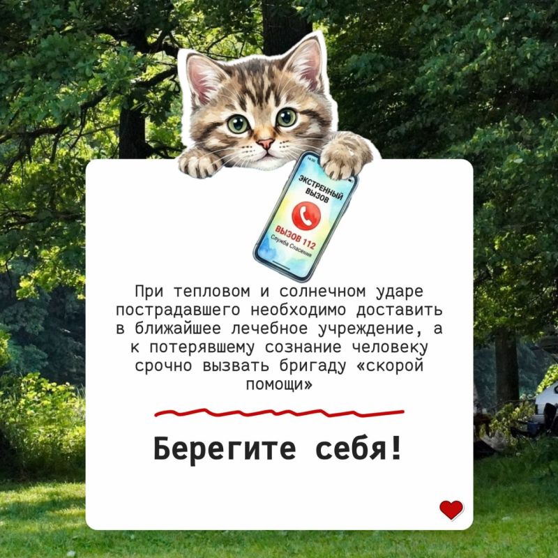 Да уж, в Тульской области лето пришло раньше срока Да уж, в Тульской области лето пришло раньше срока