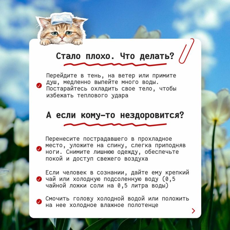 Да уж, в Тульской области лето пришло раньше срока Да уж, в Тульской области лето пришло раньше срока