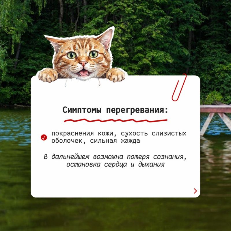 Да уж, в Тульской области лето пришло раньше срока Да уж, в Тульской области лето пришло раньше срока