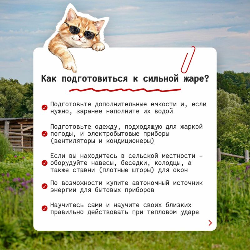 Да уж, в Тульской области лето пришло раньше срока Да уж, в Тульской области лето пришло раньше срока