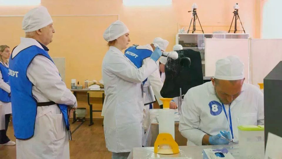 Нацпроект «Кадры»: в Тульской области выбрали лучшего повара, ветеринарного фельдшера и мастера отделочных работ Нацпроект «Кадры»: в Тульской области выбрали лучшего повара, ветеринарного фельдшера и мастера отделочных работ
