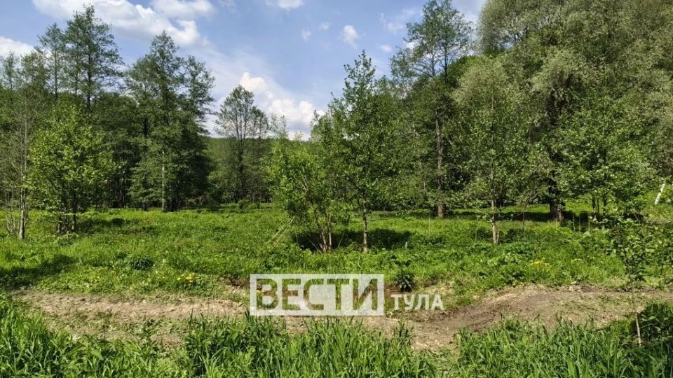 Тульские «Вести» работают на месте обнаружения пропавшей девочки в Дубне Тульские «Вести» работают на месте обнаружения пропавшей девочки в Дубне