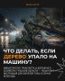 Что делать, если во время непогоды на автомобиль упало дерево?