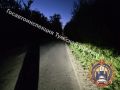 В Узловой по вине пьяного водителя погибла пятимесячная девочка