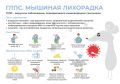 В Тульской области спрогнозировали осложнение ситуации по мышиной лихорадке