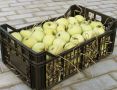 Как сохранить яблоки свежими до весны: секреты и лучшие сорта для долгого хранения