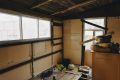 Урожайный октябрь: как осень приучает к дачным заботам