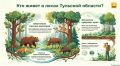 Каких животных можно встретить в лесах Тульской области?