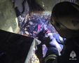 В Тульской области за прошедшие сутки 22 июня