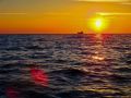 Туляк заплатил за тур в Египет 416 тысяч рублей, но вместо моря и солнца остался с пустыми руками