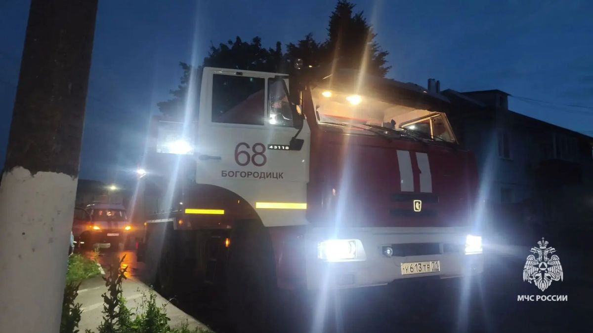 На пожаре в Богородицке погибли 2 человека На пожаре в Богородицке погибли 2 человека