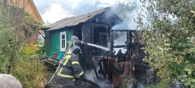 В Тульской области за прошедшие сутки 5 июля В Тульской области за прошедшие сутки 5 июля