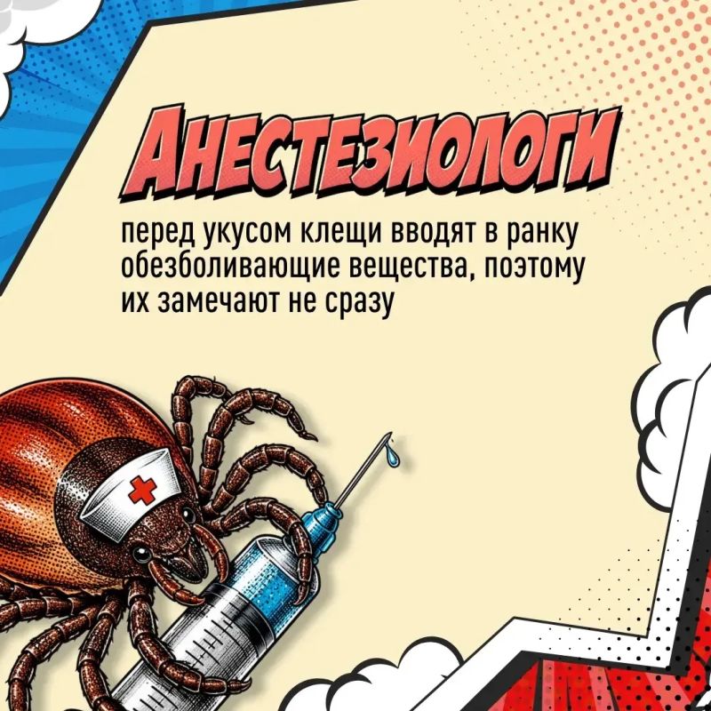 Они появились на Земле раньше динозавров Они появились на Земле раньше динозавров