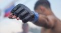 Кубок России по MMA пройдет в Тульской области в начале сентября