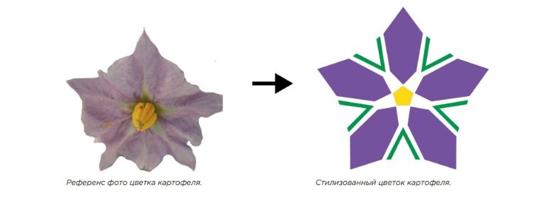 Символ картофеля становится главной туристической иконой Беларуси
