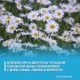 Глава города Тулы Алексей Эрк и депутаты Тульской городской Думы поздравляют туляков с Днем семьи, любви и верности