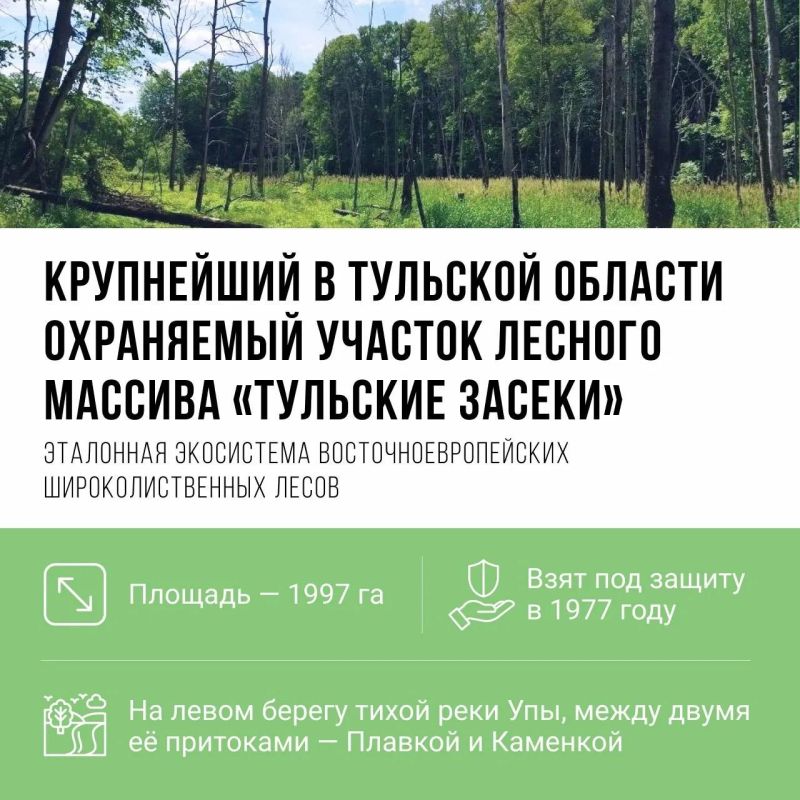 А вы знали, что на левом берегу Упы раскинулся крупнейший в Тульской области участок лесного массива? А вы знали, что на левом берегу Упы раскинулся крупнейший в Тульской области участок лесного массива?