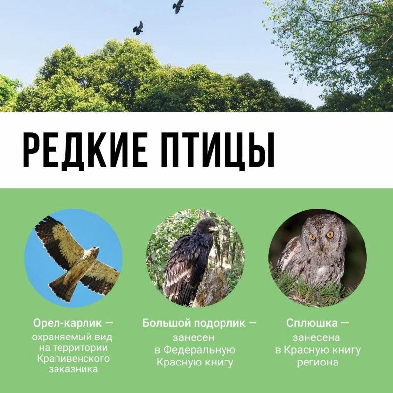 А вы знали, что на левом берегу Упы раскинулся крупнейший в Тульской области участок лесного массива? А вы знали, что на левом берегу Упы раскинулся крупнейший в Тульской области участок лесного массива?