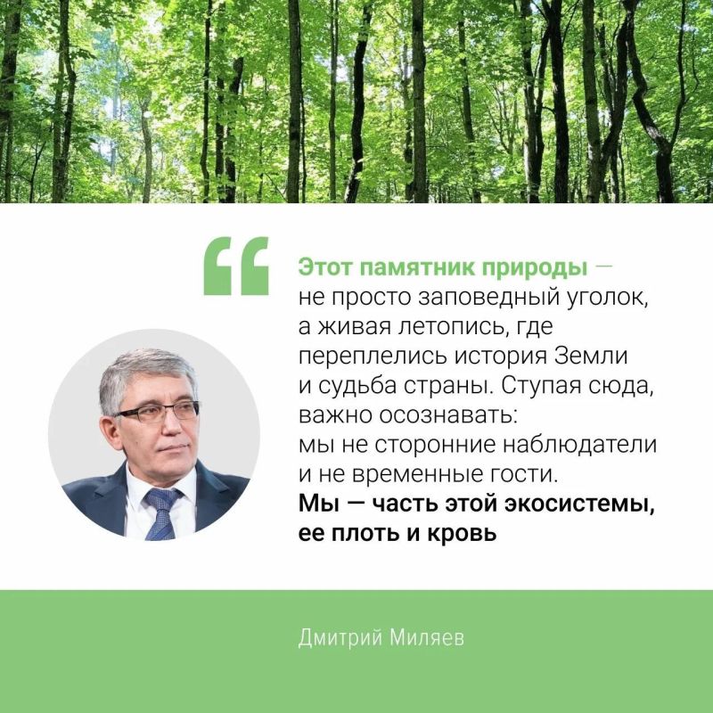А вы знали, что на левом берегу Упы раскинулся крупнейший в Тульской области участок лесного массива? А вы знали, что на левом берегу Упы раскинулся крупнейший в Тульской области участок лесного массива?