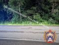 Из сводок ДТП в Тульской области за предыдущие сутки