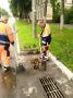 На улицах Тулы устраняют локальные подтопления