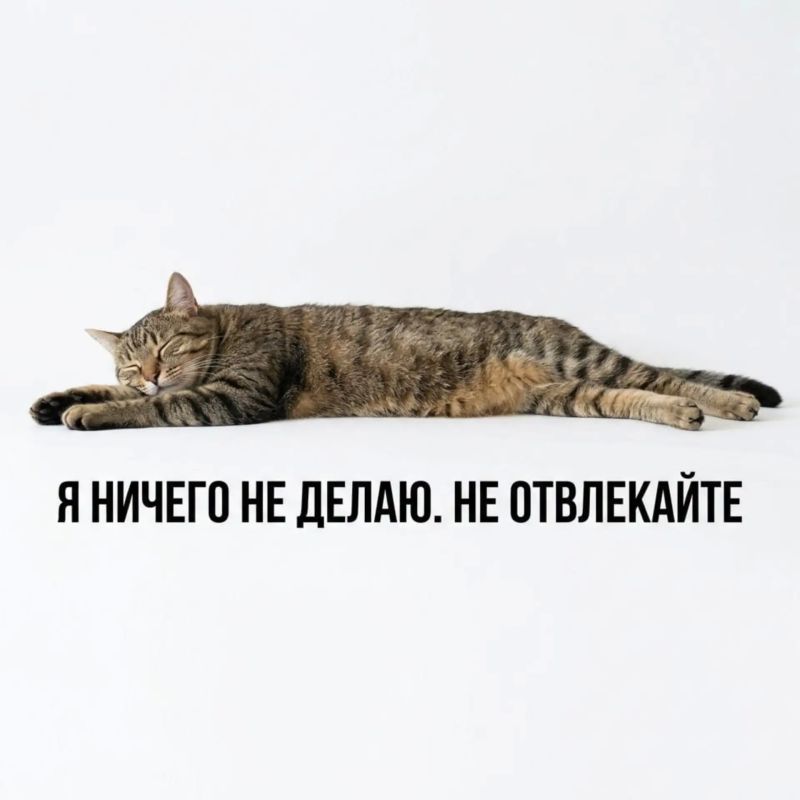 Трудяги, выдыхайте, сегодня отмечается День русской лени