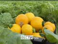 � �� ������� ���, ��� ��������� ������ ������ �������� ��� ������� � �������� ���������� ������