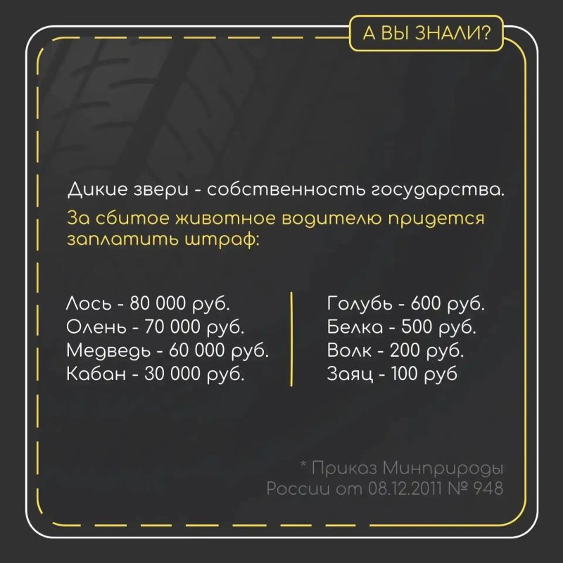 Сколько туляки заплатят за сбитых животных
