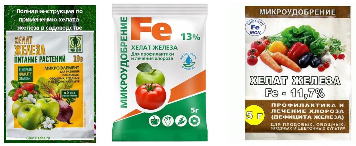 Дефицит железа: как он влияет на растения