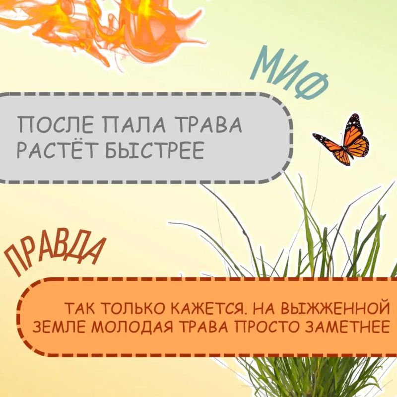 Да само потухнет…. На самом деле это один из самых опасных мифов Да само потухнет…. На самом деле это один из самых опасных мифов