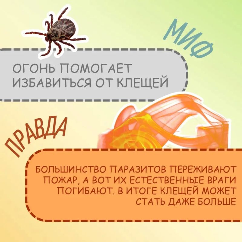Да само потухнет…. На самом деле это один из самых опасных мифов Да само потухнет…. На самом деле это один из самых опасных мифов