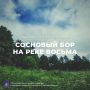 Дмитрий Миляев: #Красотародногокрая. Иваньковский сосновый бор на реке Восьма Представьте себе место, где время словно застыло, а воздух пропитан смолистым дыханием вековых сосен
