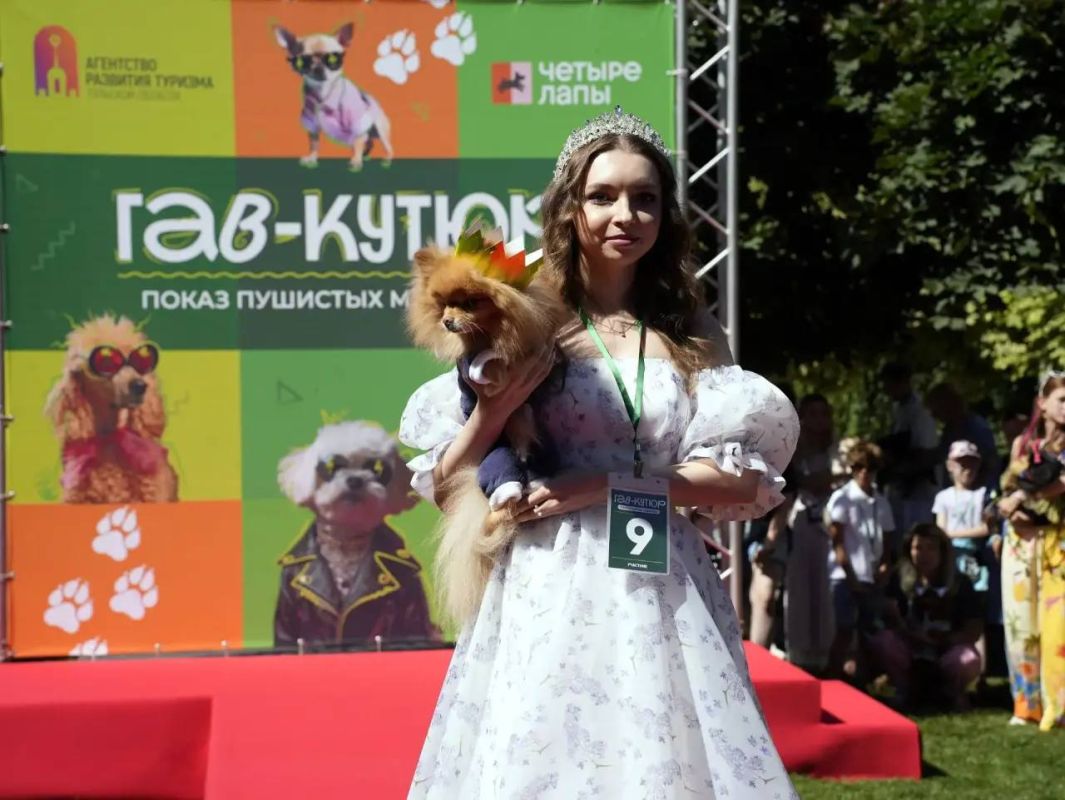 В Туле прошёл первый модный показ для собак «Гав-кутюр» В Туле прошёл первый модный показ для собак «Гав-кутюр»