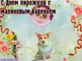 #КорочеПраздники на 19 июля