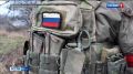 Участники СВО и их семьи могут освободиться от пеней