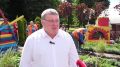 Илья Беспалов: Продолжаем озеленять городские территории