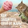 Когда столбик термометра зашкаливает