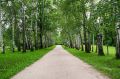 ������� ������: � �������� ������� ������� ����������� ��������� ��������� �������� �������