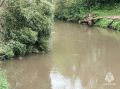 В Чернском районе на пруду утонул мужчина