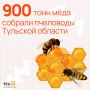 Пчеловоды Тульской области собрали 900 тонн меда в 2025 году