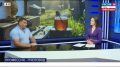 Три правила, как выбрать качественный мед при покупке