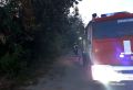 В Тульской области за прошедшие сутки 19 августа
