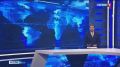 Под звуки пулемётной очереди: наша съёмочная группа попала в эпицентр тактико-специальных учений бойцов СОБРа Росгвардии