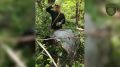 ������� � �������: ������ �������� ������� ������������ �� ������� ��� ������, ������� ������ �� �������