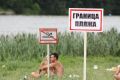В Тульской области предложили увеличить штрафы за купание в запрещенных местах